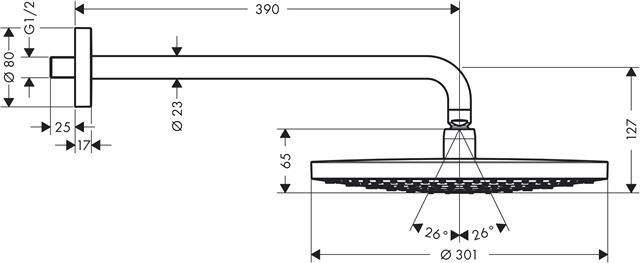 hansgrohe Kopfbrause Raindance Select S 300 2jet, mit Brausearm 390mm, chrom-27378000