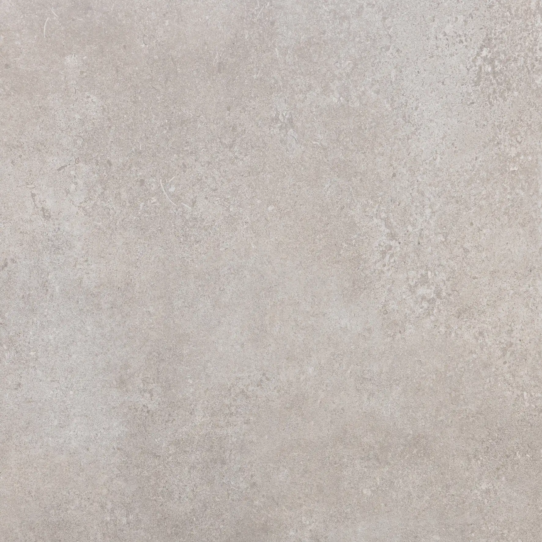 Feinsteinzeug Wand- & Bodenfliese Phorma Grigio Rustikale Fliesen grau 60 x 60 cm-PF00018634
