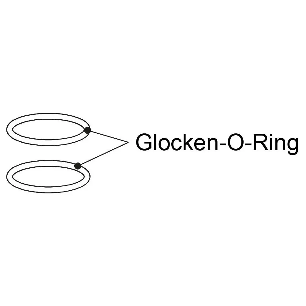 Grünbeck Dichtungssatz zu Feinfilter Boxer FS-B 1"/1 1/4", 2 Stück -101641e